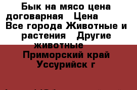 Бык на мясо цена договарная › Цена ­ 300 - Все города Животные и растения » Другие животные   . Приморский край,Уссурийск г.